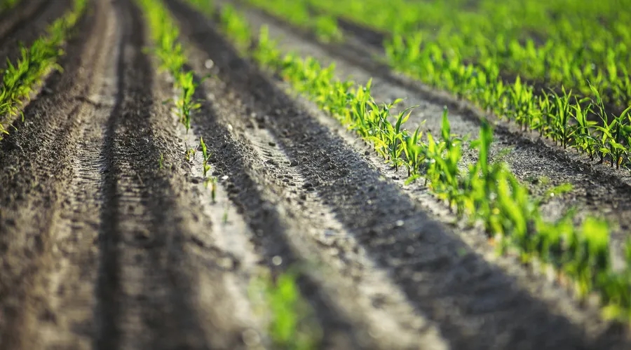 640.webp (3).jpg 640.webp (3).jpg